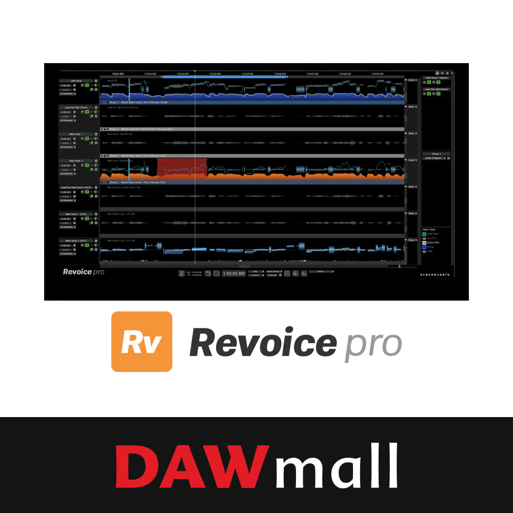 Synchro Arts Revoice Pro 5 - New License for RePitch Standard owners 싱크로아츠 리보이스 프로 5 뉴 라이선스 (리피치 스탠다드 소유자용)